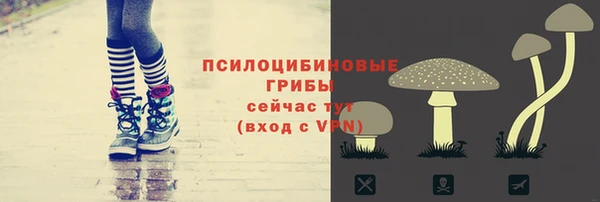 мдпв Карталы