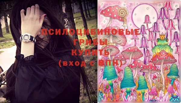 гашиш Касимов