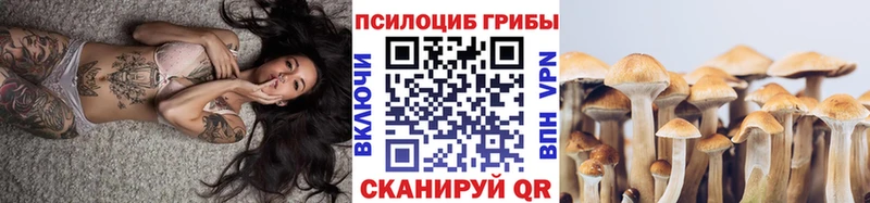 где найти   Куровское  hydra зеркало  Галлюциногенные грибы Cubensis 